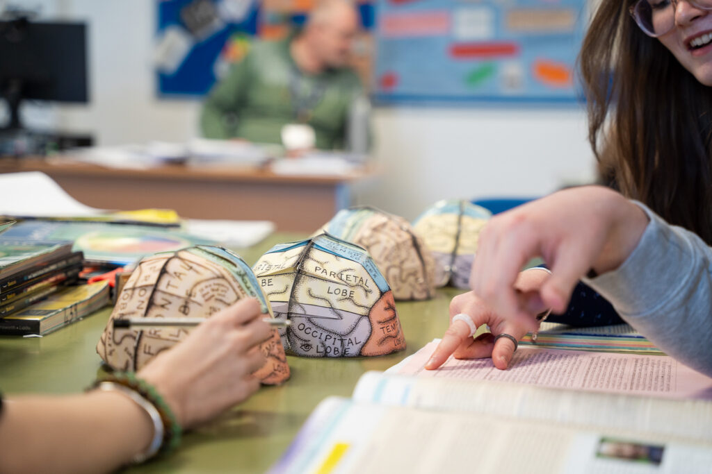 Two students pointing at labelled model brains and an open textbook