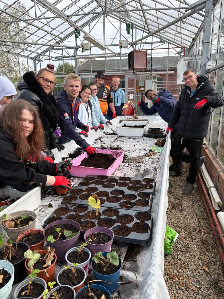 Skills for Development students sowing seeds at a bench in the college greenhouse